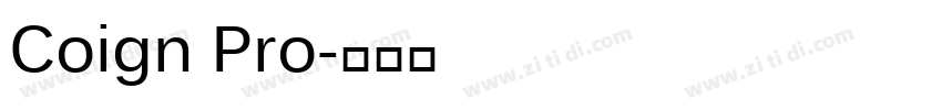Coign Pro字体转换